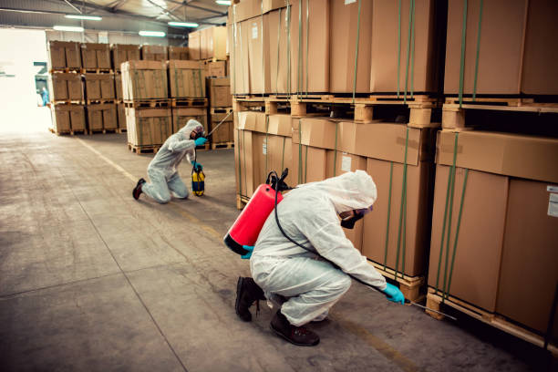 Best Wasp Removal Services  in Perryville, MO