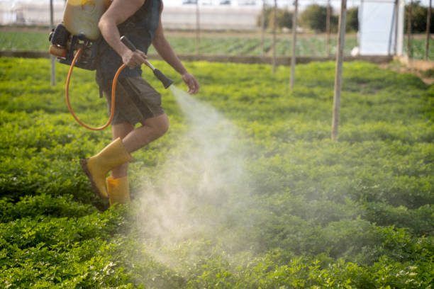Best Exterminator Services  in Perryville, MO