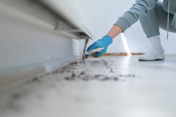 Pest Control Cost in Perryville, MO