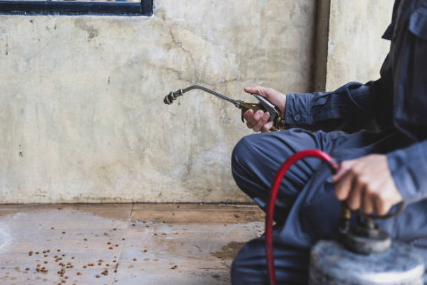 Best Emergency Pest Control  in Perryville, MO